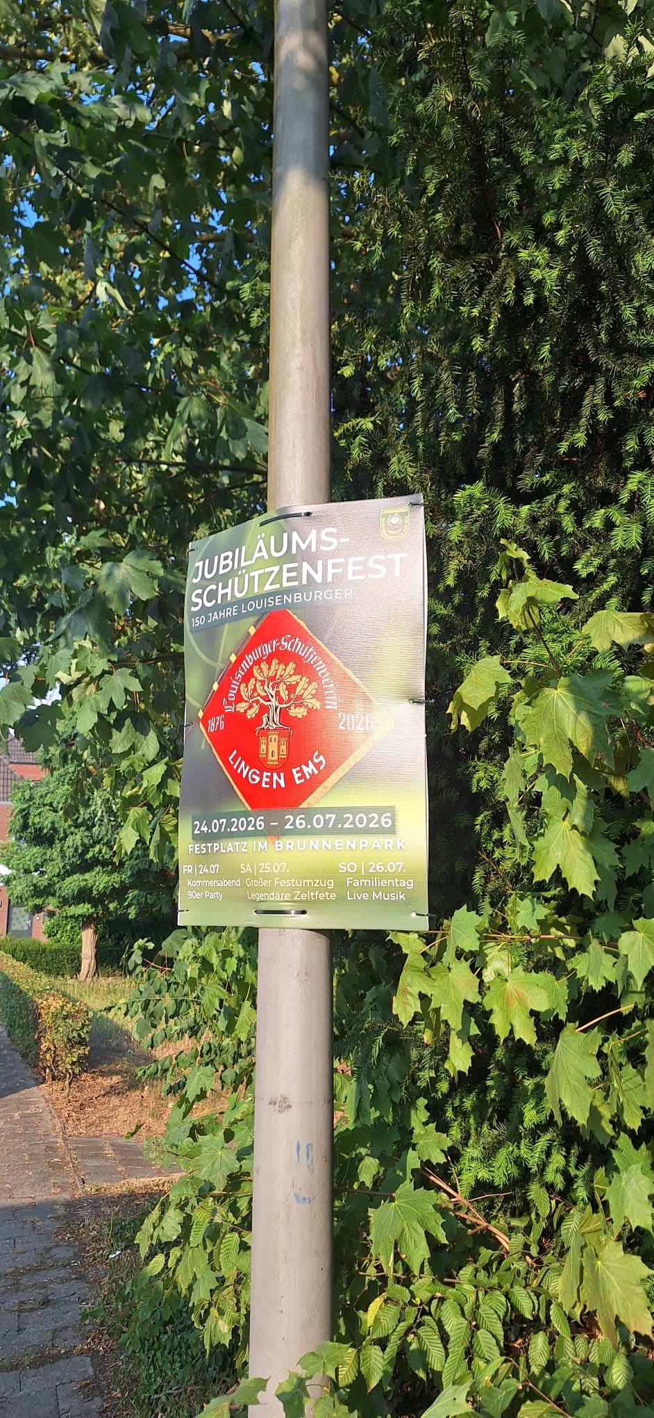 Galeriebild